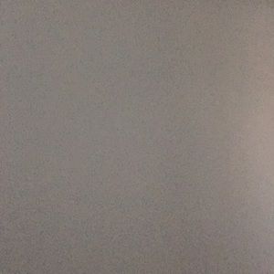 Meet your Posher, Ricky